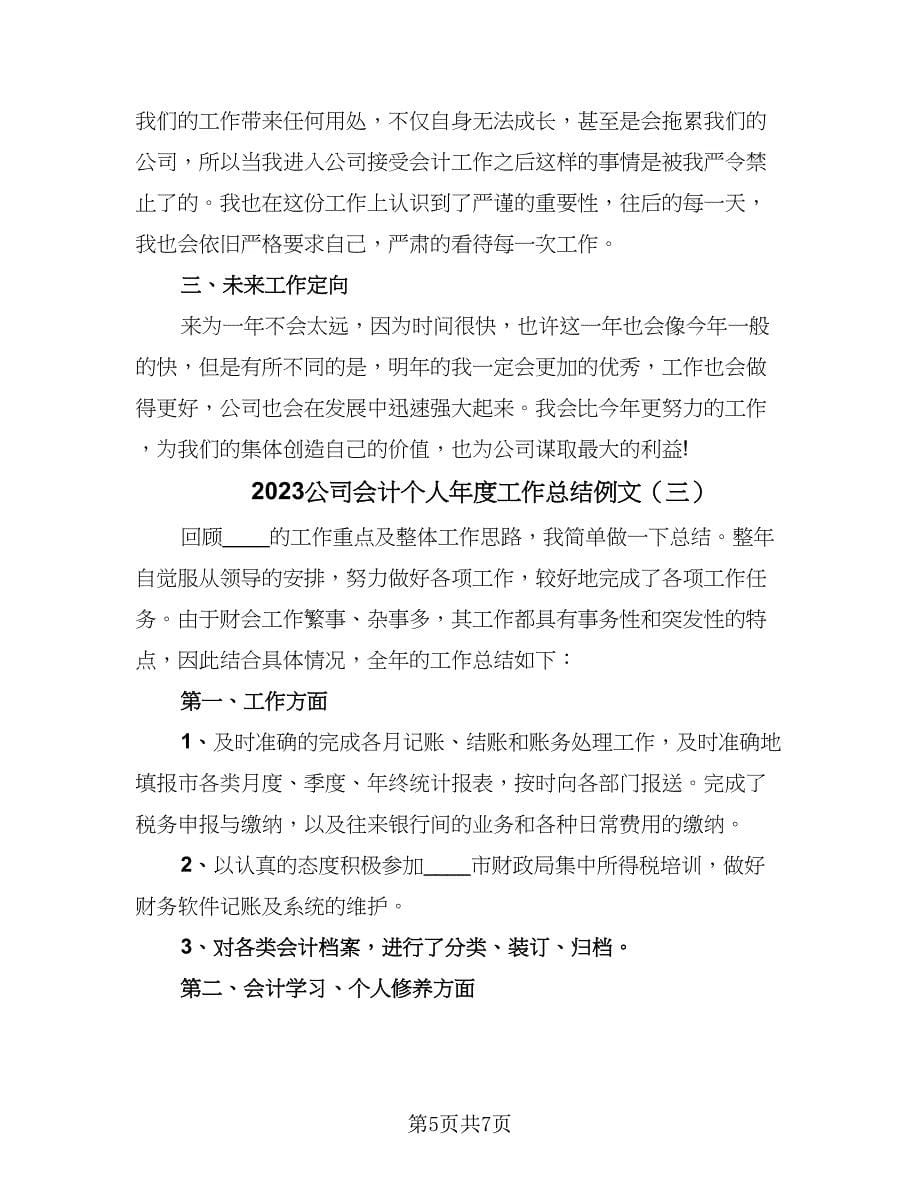 2023公司会计个人年度工作总结例文（三篇）.doc_第5页