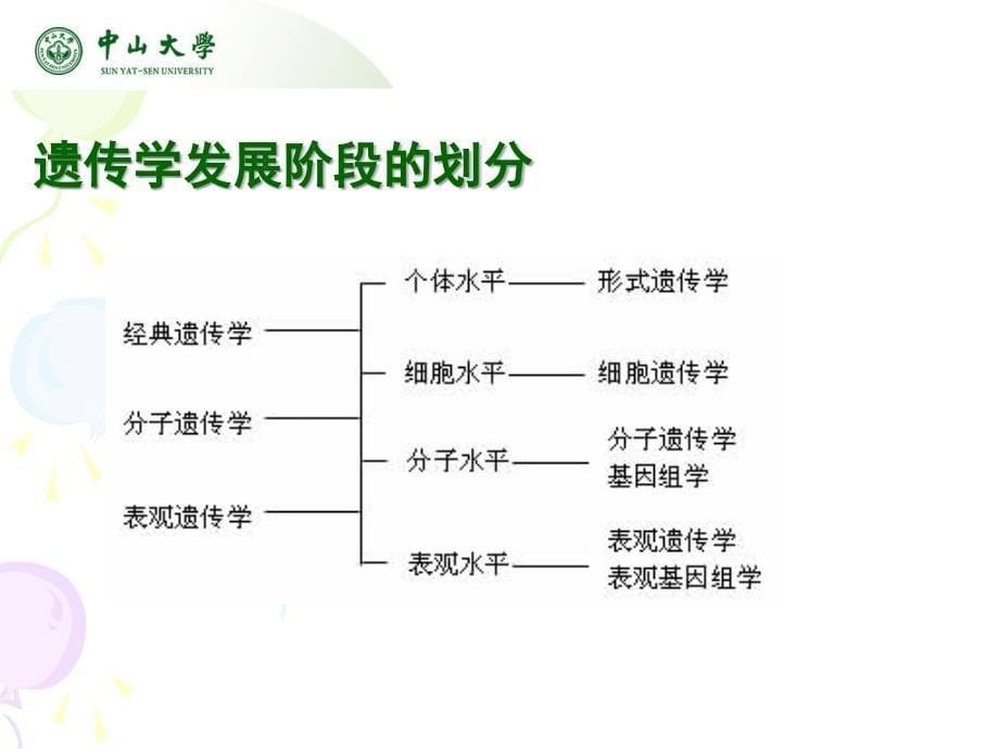 在遗传学教学中的表观遗传学知识融合_第5页