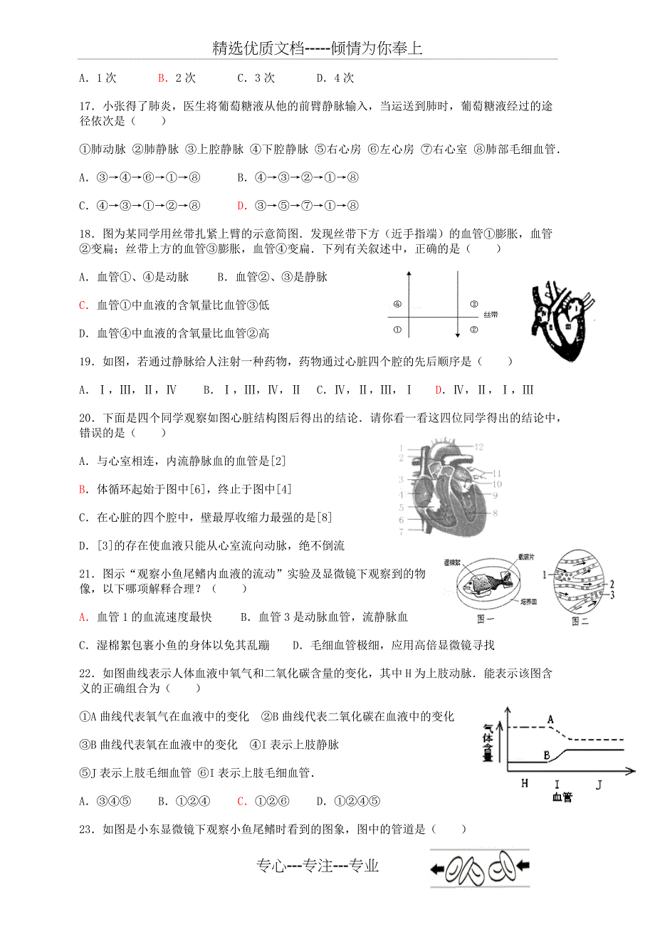 7下4章人体内物质的运输(共7页)_第3页