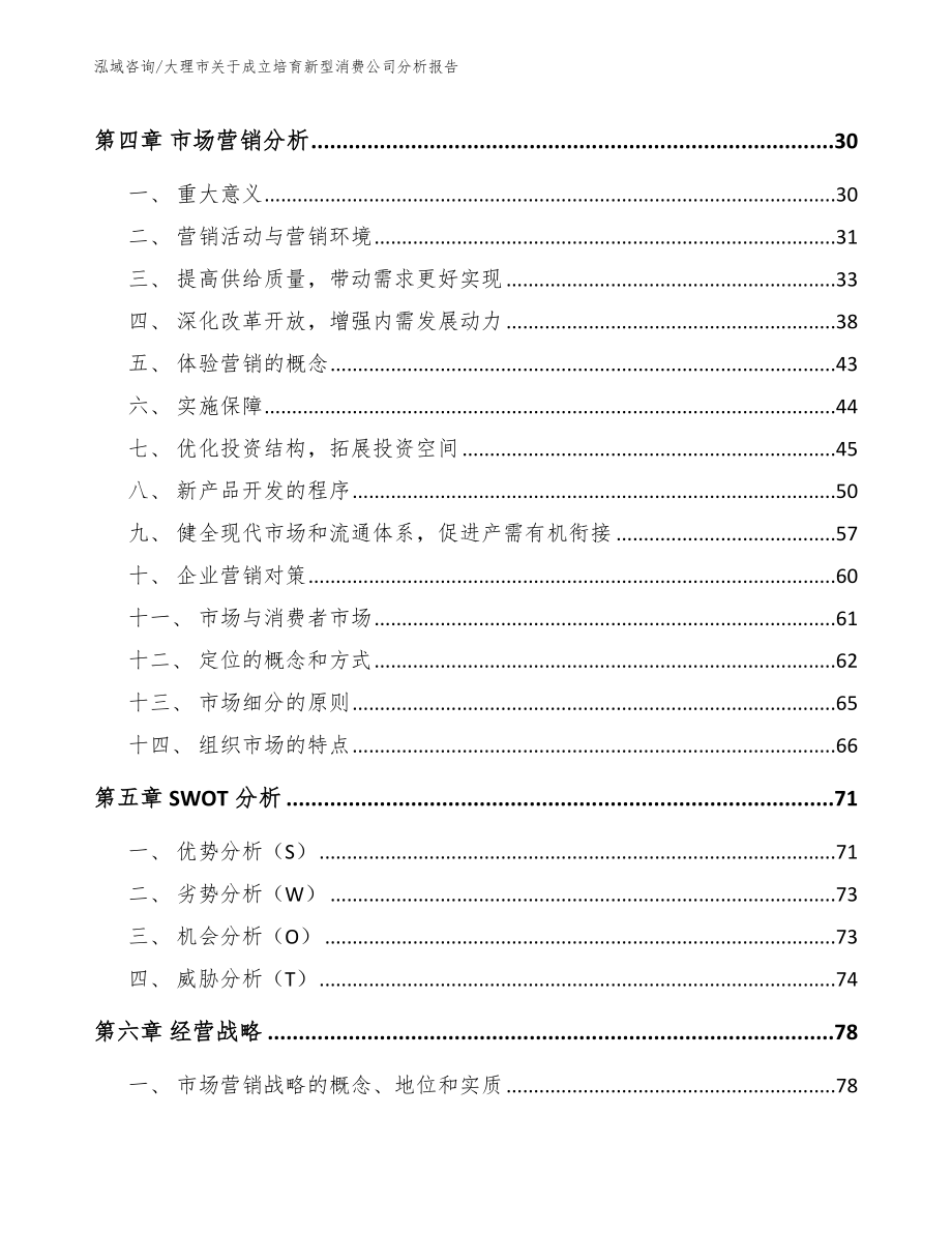 大理市关于成立培育新型消费公司分析报告模板参考_第3页