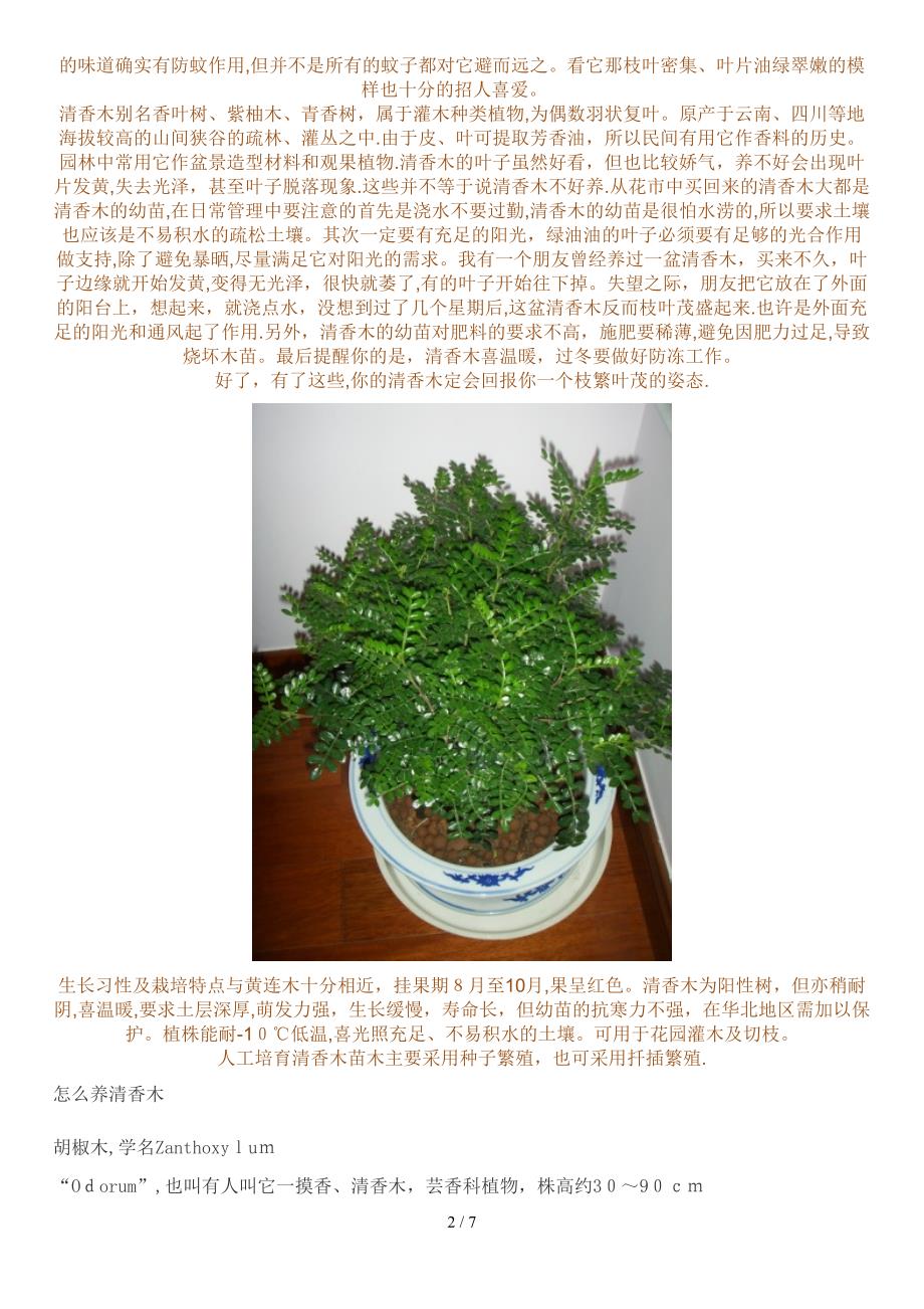 花椒味的盆栽花卉_第2页