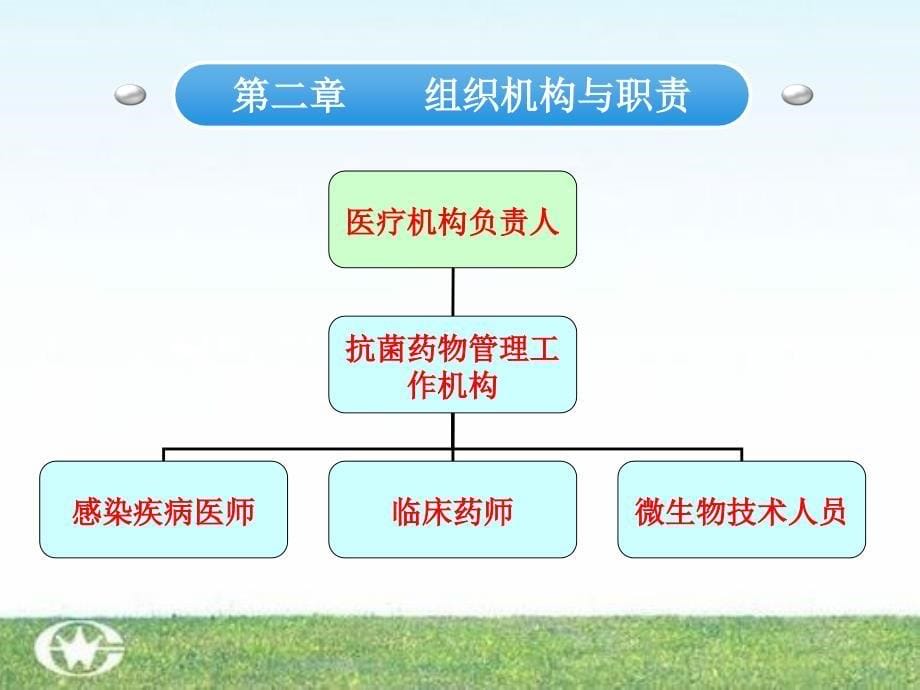 抗菌药物临床应用解读.ppt_第5页