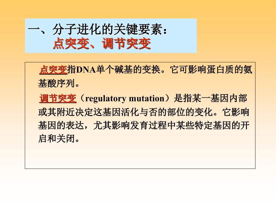 进化的分子基础PPT课件_第3页