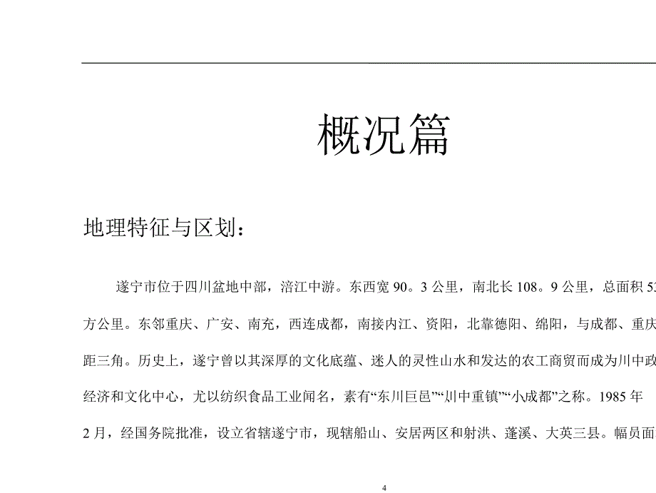 四川遂宁河东电梯公寓项目整体策划案(成都维贝斯特)82页_第4页