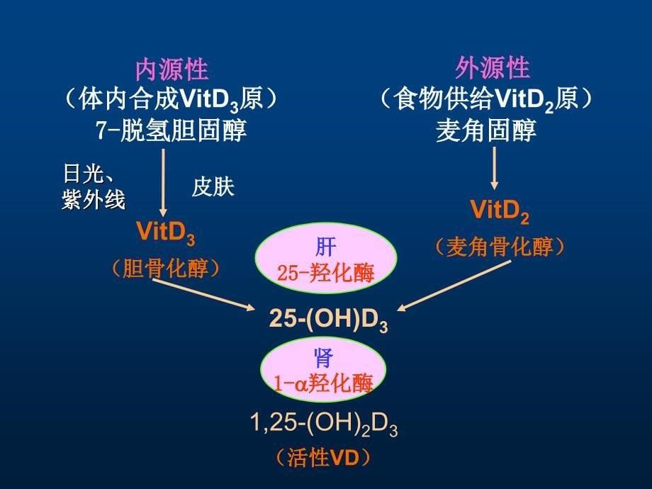 营养性疾病NutritionalDiseases_第5页