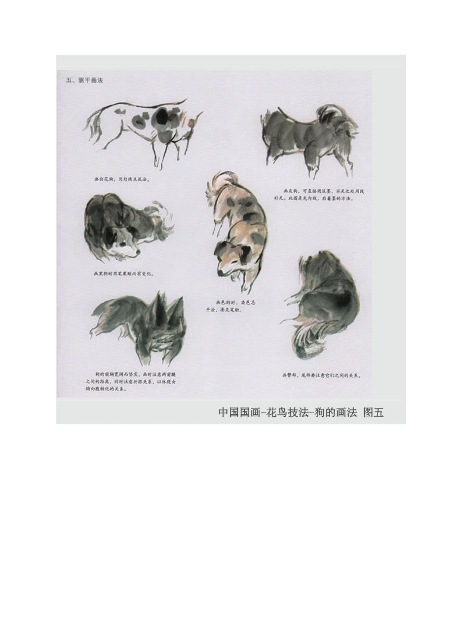 狗的画法——中国画_第5页