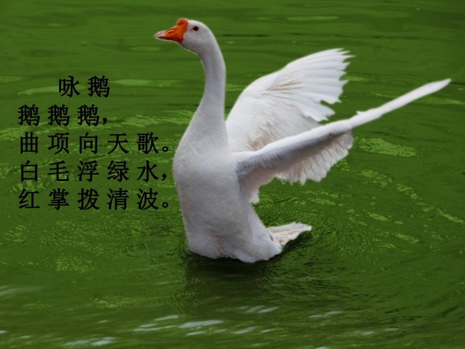 诗情画意课件[精选文档]_第1页