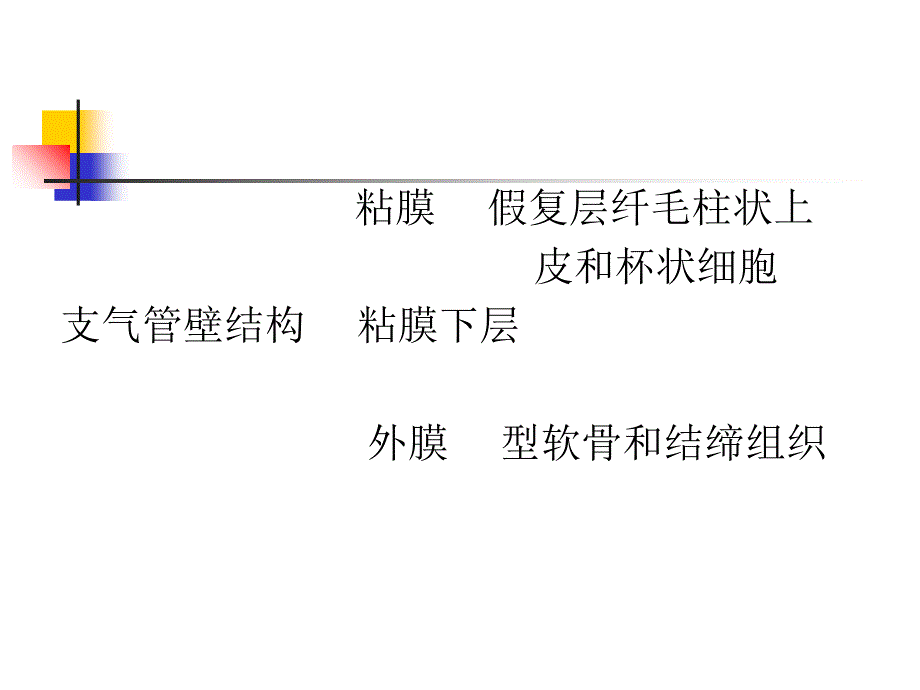 支气管扩张临床表现及诊治课件_第2页