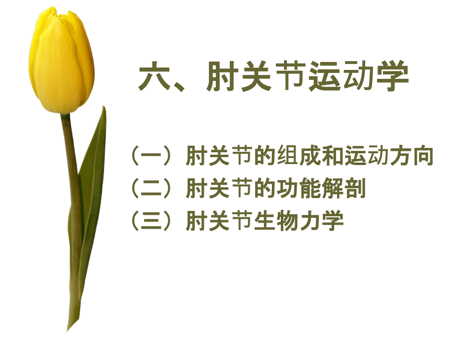 肘关节运动学课件_第1页