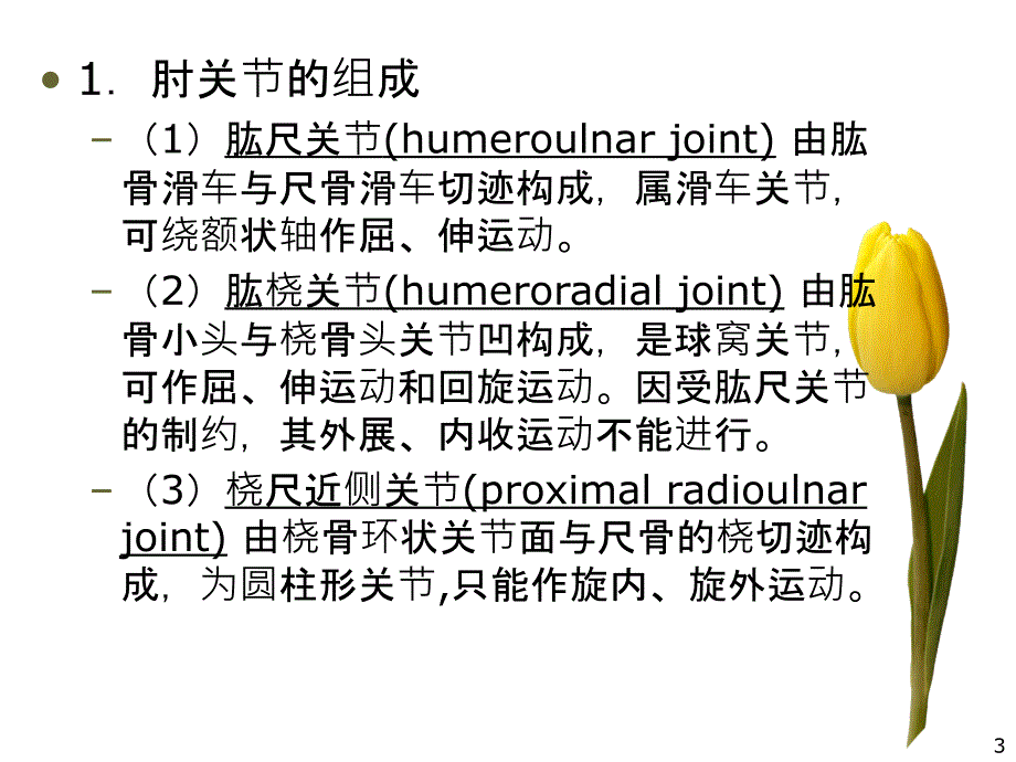 肘关节运动学课件_第3页