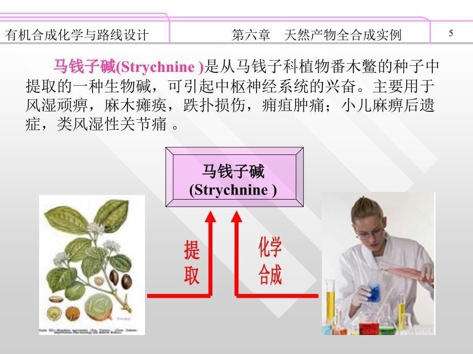 天然产物全合成_第5页