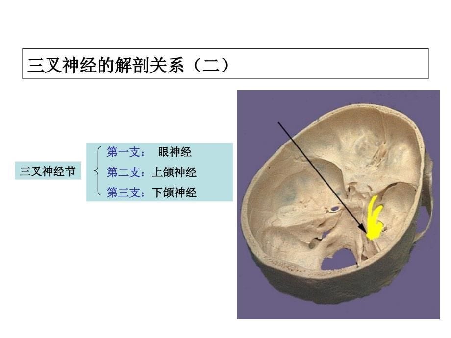 三叉神经痛治疗与护理文档资料_第5页