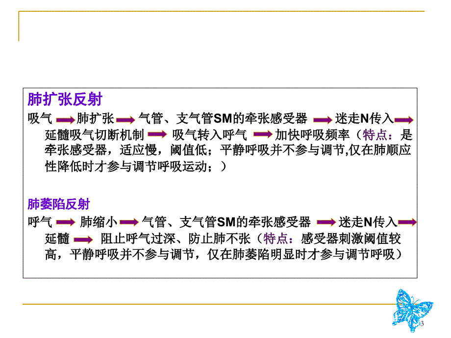 家兔呼吸运动的调节课件_第3页