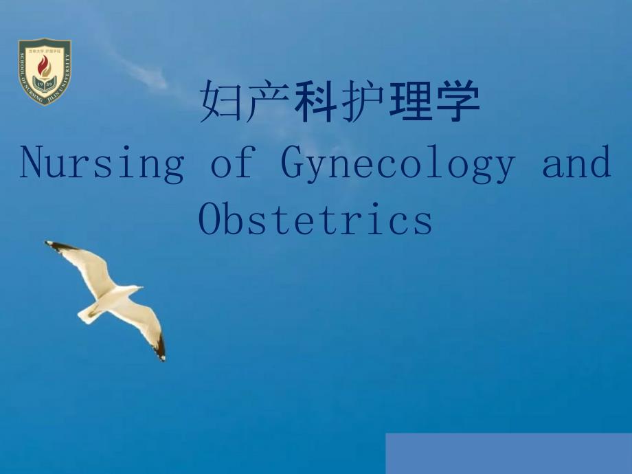 女性生殖系统解剖及生理ppt课件_第1页