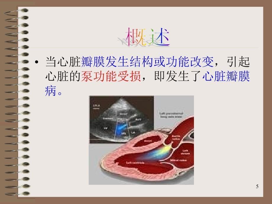 心瓣膜病病人的护理PowerPointP课件_第5页