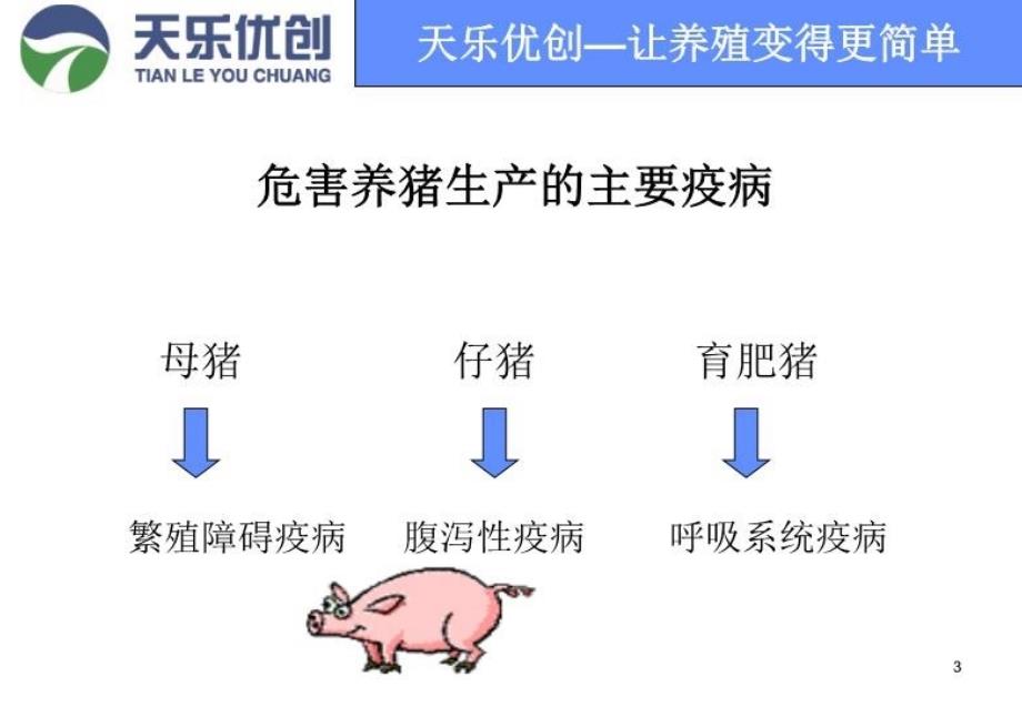 最新子猪拉稀解决方案PPT课件_第3页