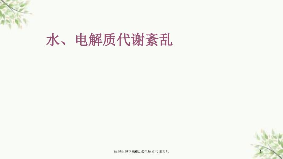 病理生理学第6版水电解质代谢紊乱课件_第1页