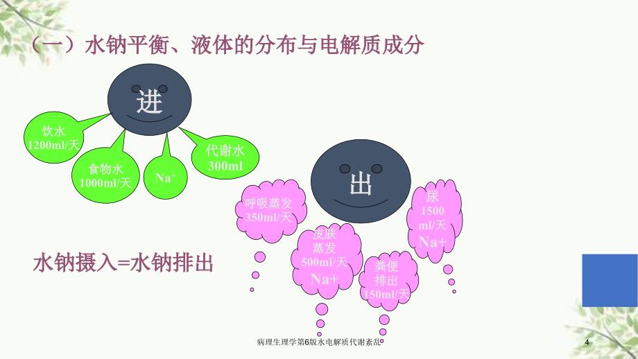 病理生理学第6版水电解质代谢紊乱课件_第4页