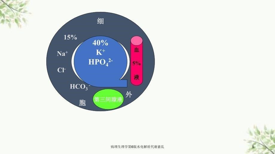 病理生理学第6版水电解质代谢紊乱课件_第5页