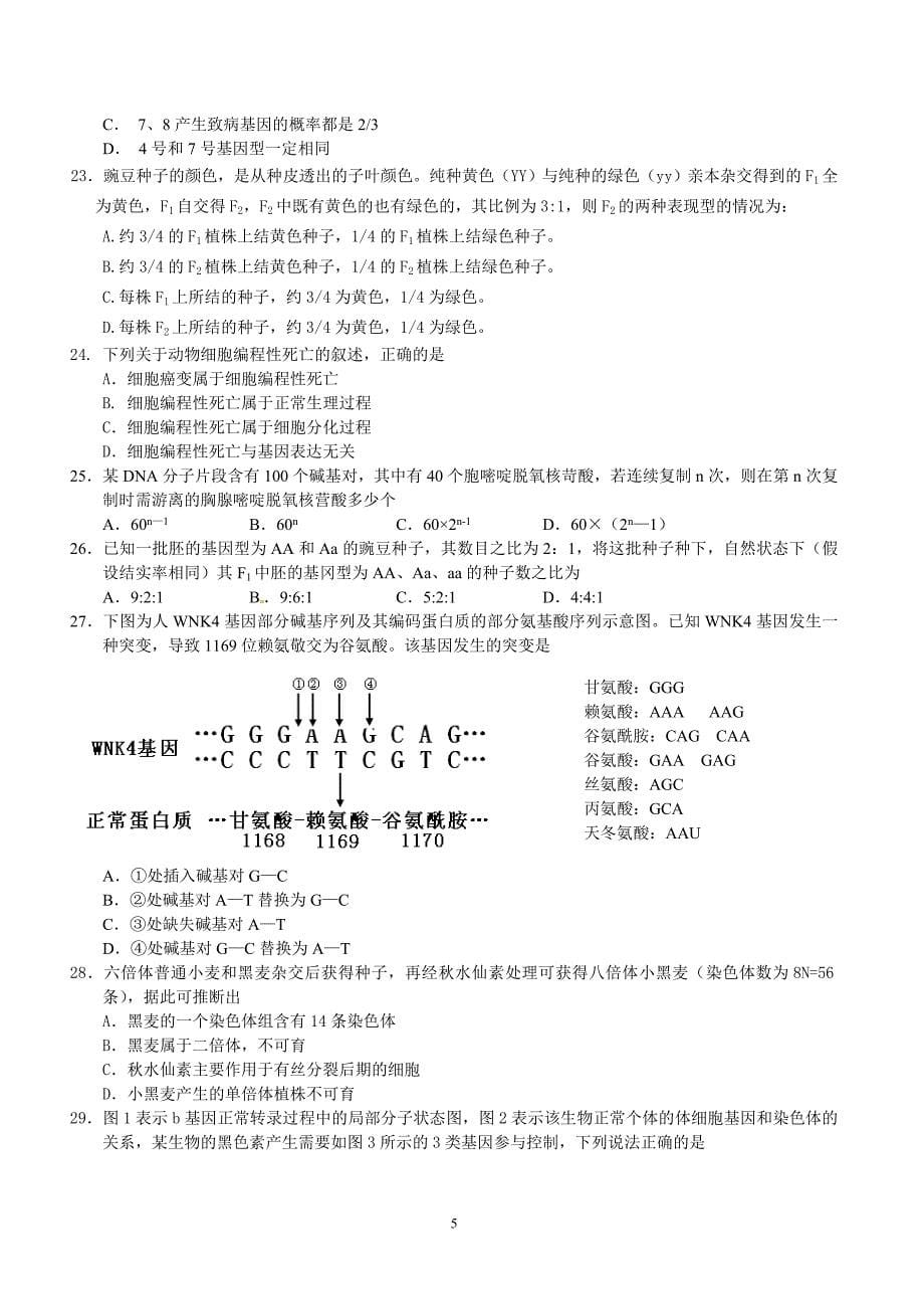 会昌中学2010-2011学年上学期第二次月考高三生物试卷- 2011届考2.doc_第5页