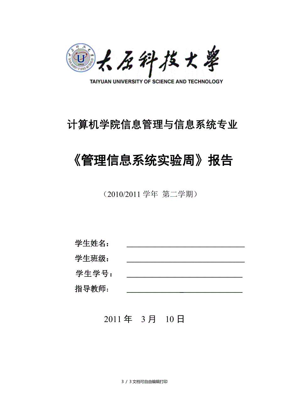 管理信息系统课实验周报告格式_第3页