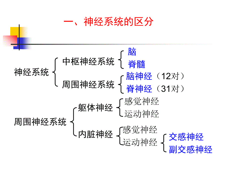 9中枢神经系统PPT文档资料课件_第1页