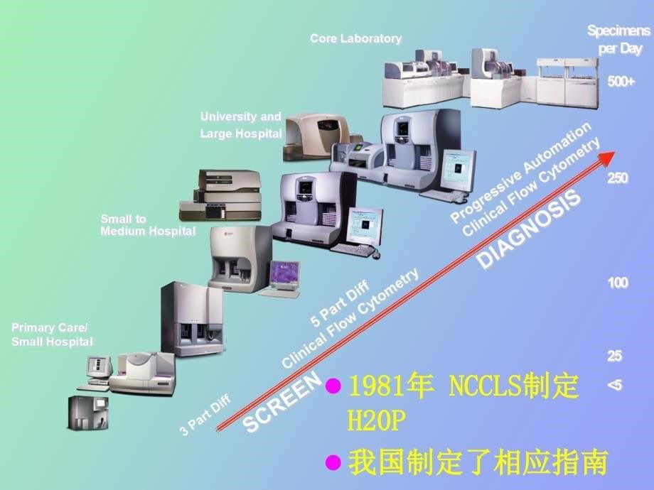 血涂片复审规则_第5页