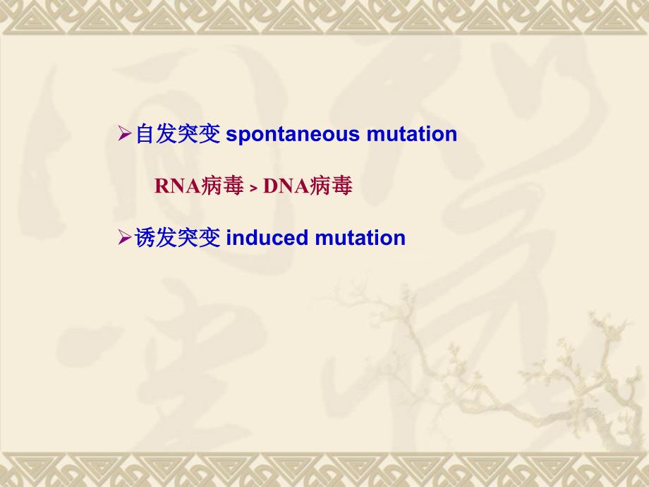 病毒的遗传和变异.ppt_第3页