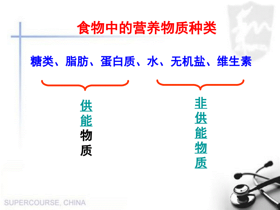 《人体的营养上》PPT课件.ppt_第2页