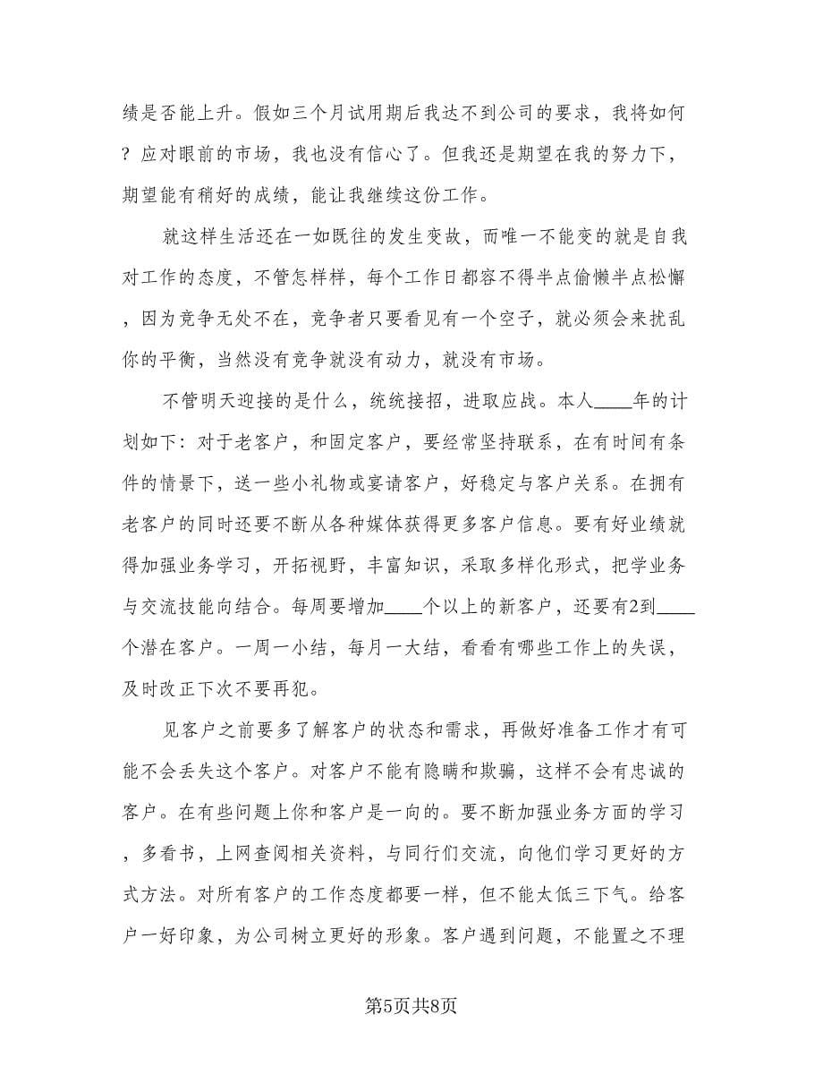 公司员工销售工作计划参考范本（三篇）.doc_第5页