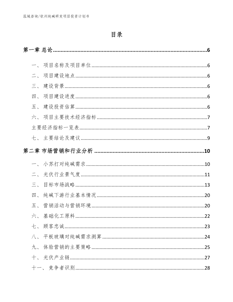 钦州纯碱研发项目投资计划书_第2页