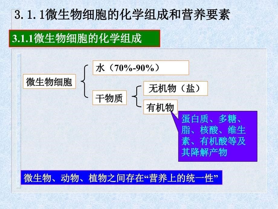 微生物营养与代谢_第5页