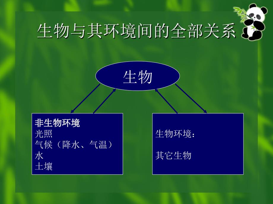 ECBPCI生物多样性和保护生物学培训生态学讲义.ppt_第4页