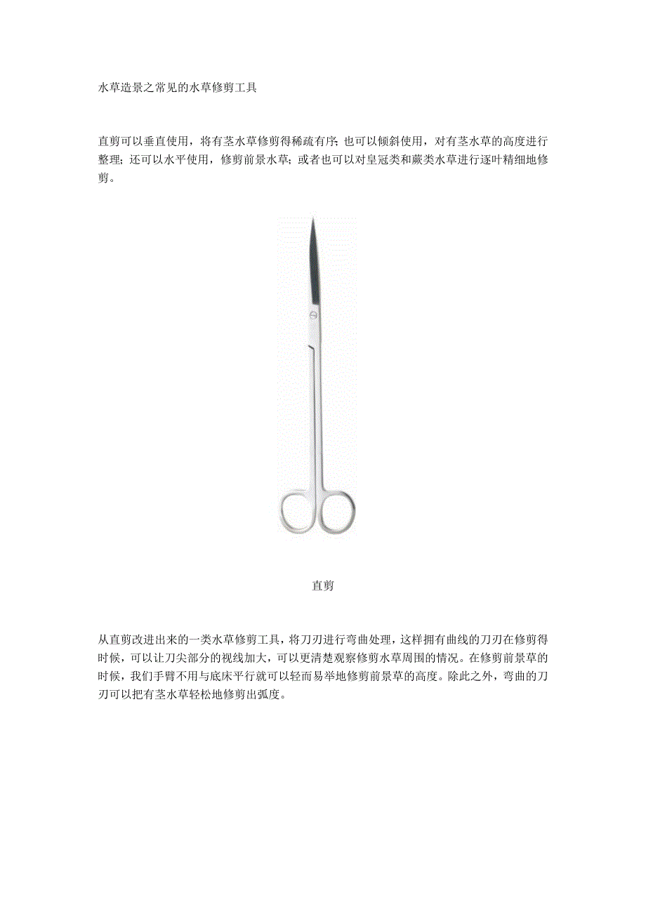 水草造景之常见的水草修剪工具.docx_第1页