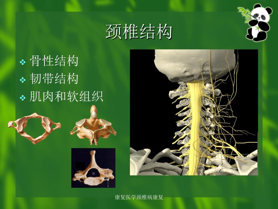 康复医学颈椎病康复课件_第4页