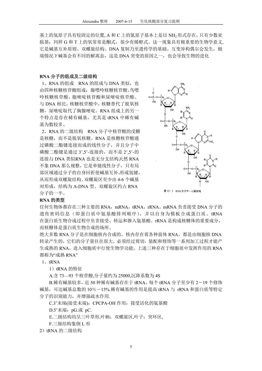 核酸的组成和分类.doc_第5页