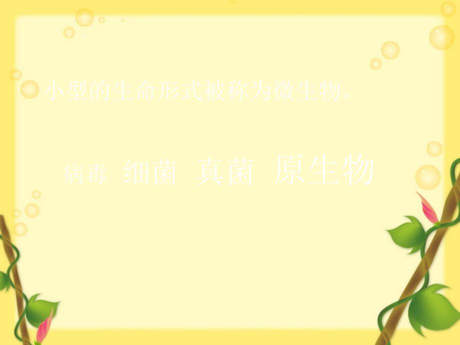 最新六年级科学上册病毒课件3青岛版青岛级上册自然科学课件_第3页