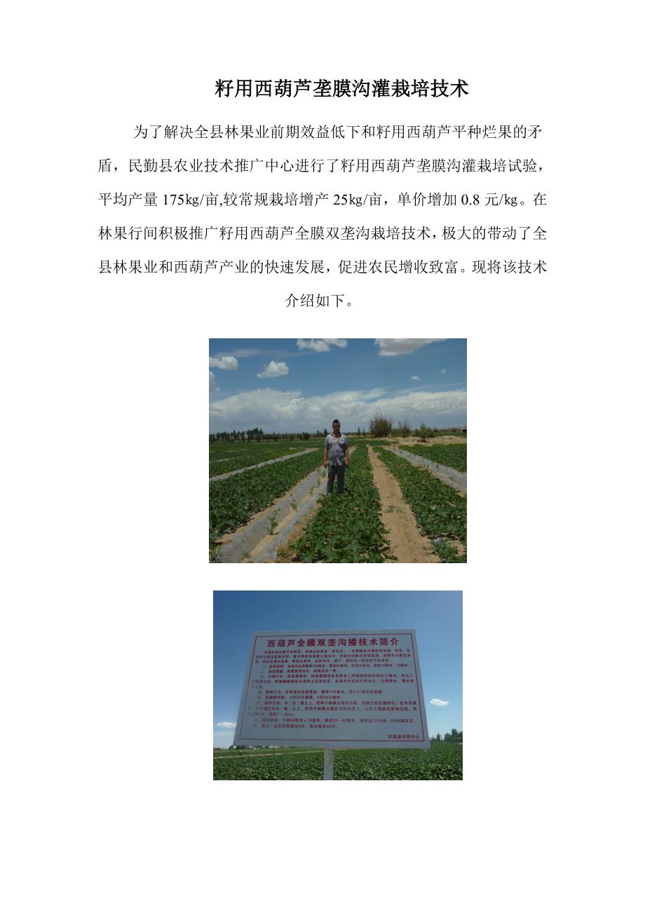 籽用葫芦栽培技术图文并茂_第1页