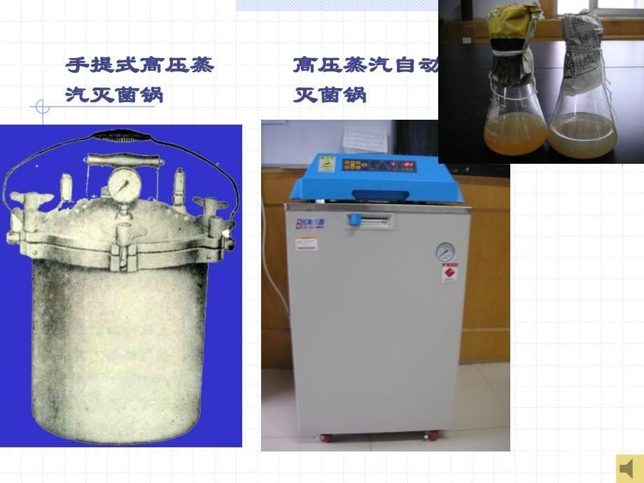 第二章微生物分类及微生物基本研究技术课件_第5页