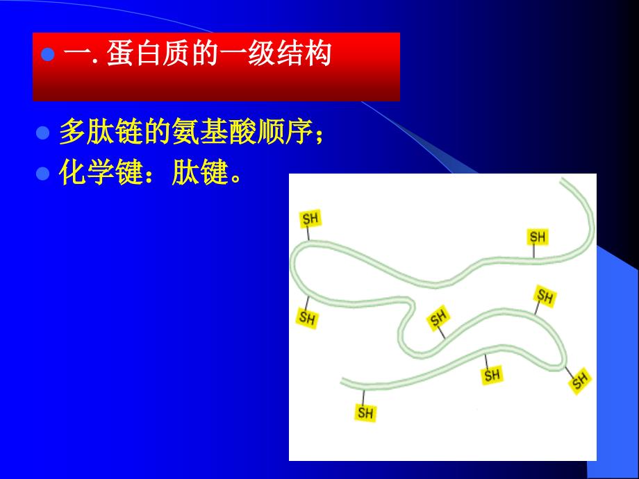 第二章蛋白质化学2_第2页