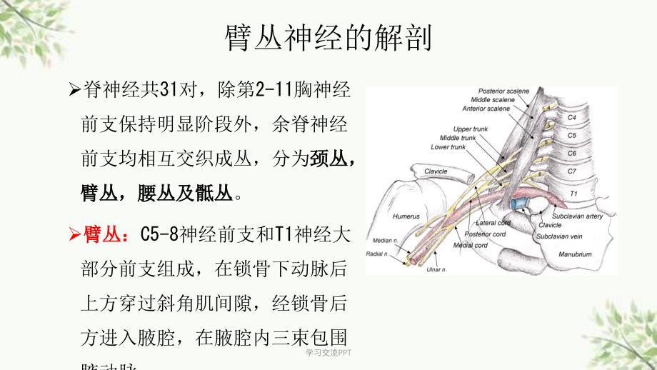 臂丛神经MR成像课件_第3页