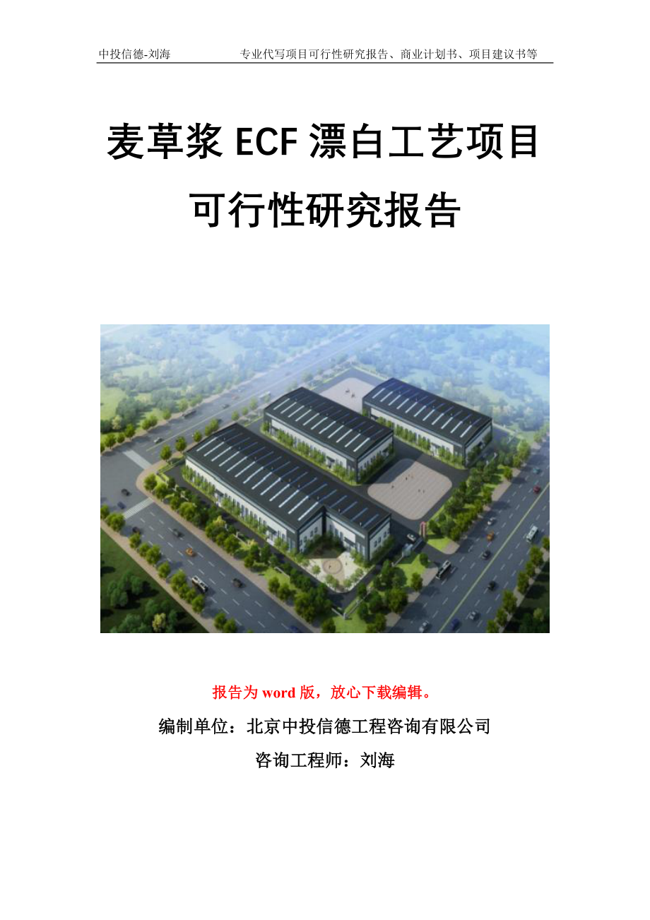 麦草浆ECF漂白工艺项目可行性研究报告模板备案审批_第1页