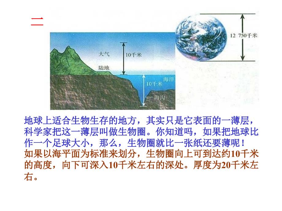 生物圈是最大的生态系统(课件)2_第3页