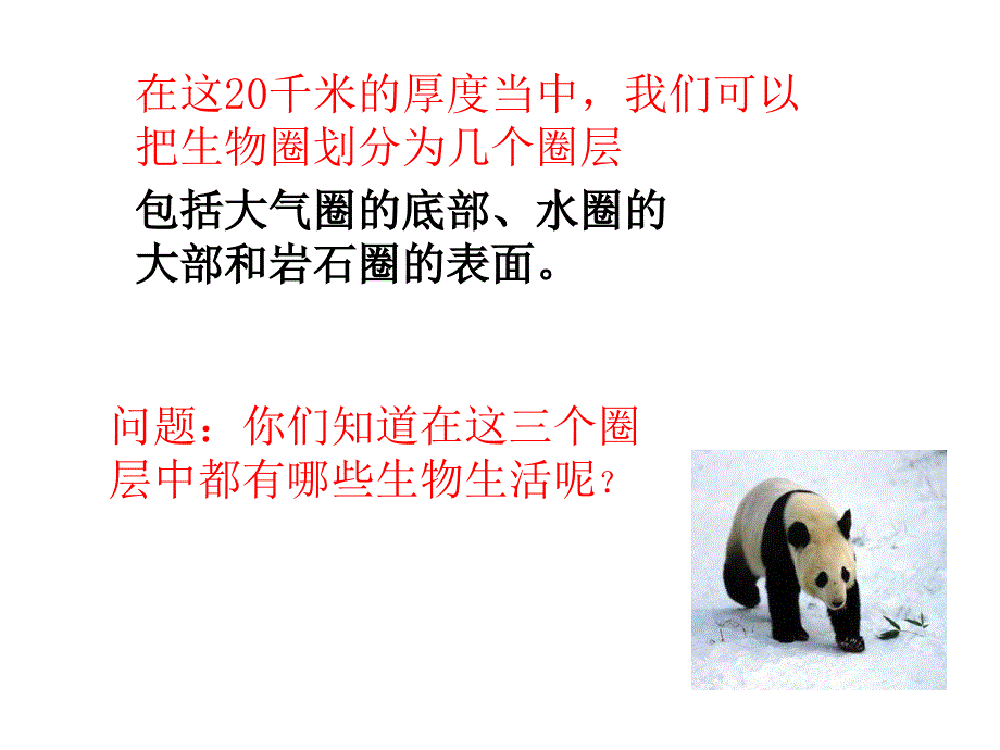 生物圈是最大的生态系统(课件)2_第4页