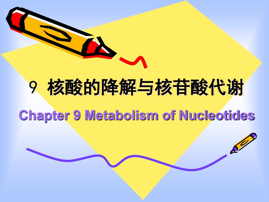 9核酸的降解与核苷酸代谢9MetabolismofNucleotides_第1页