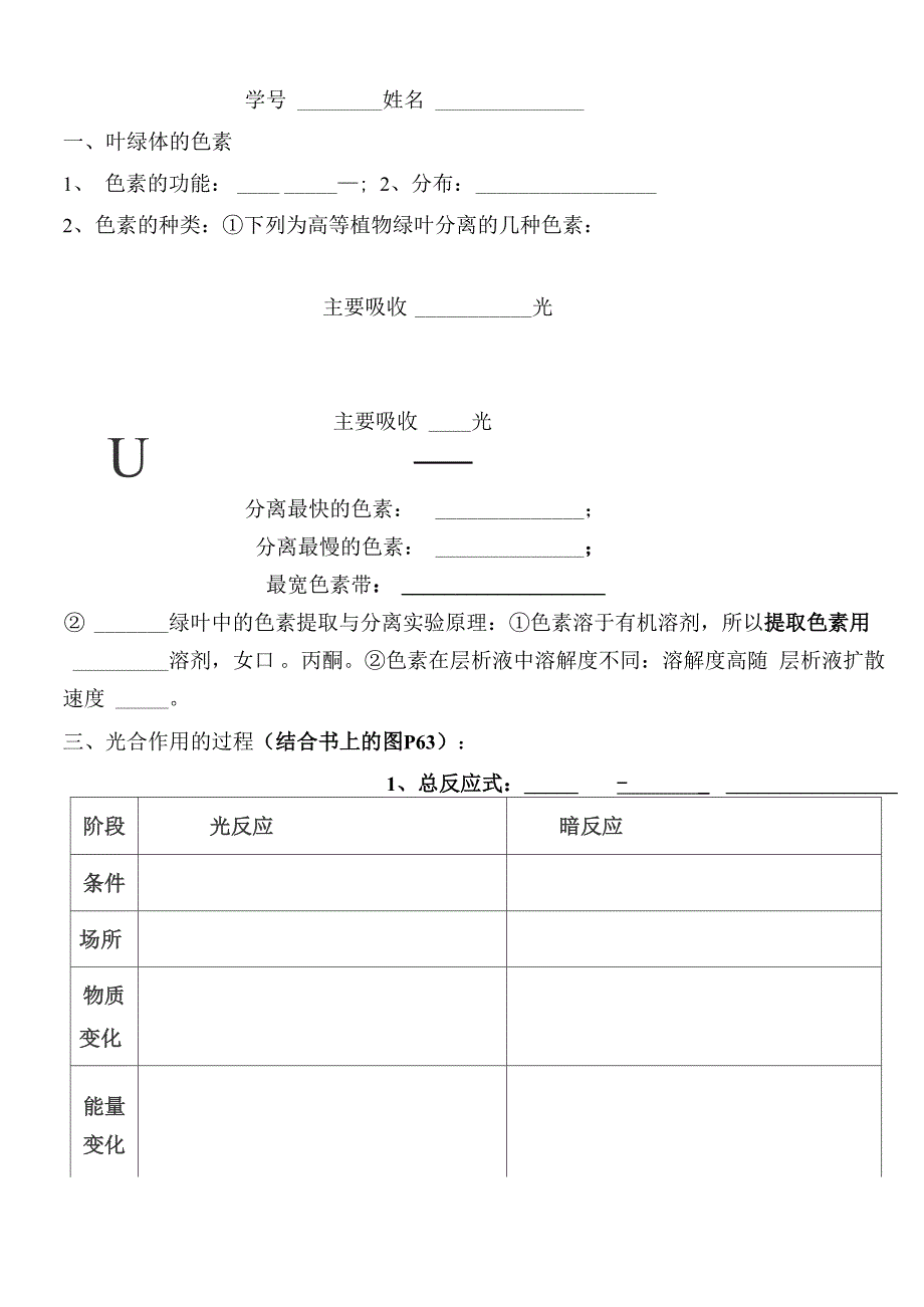 基础知识(光合作用)_第4页