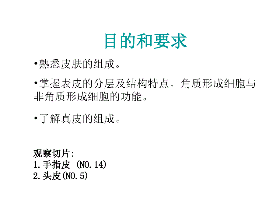 皮肤组织结构课件_第2页