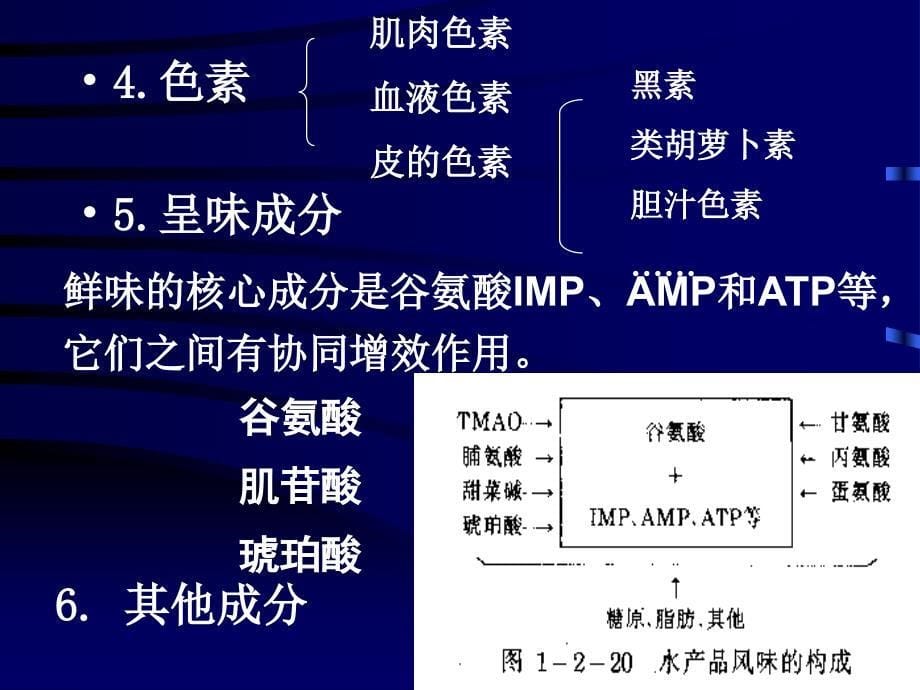 水产品加工工艺.ppt_第5页