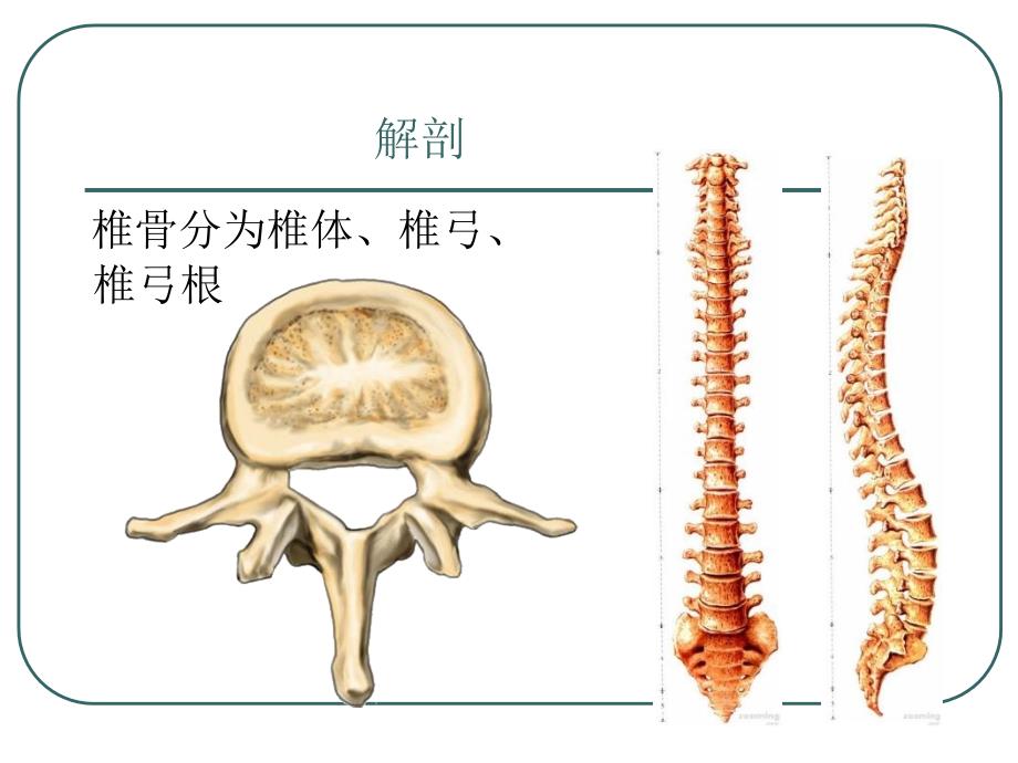 腰椎骨折概要_第2页