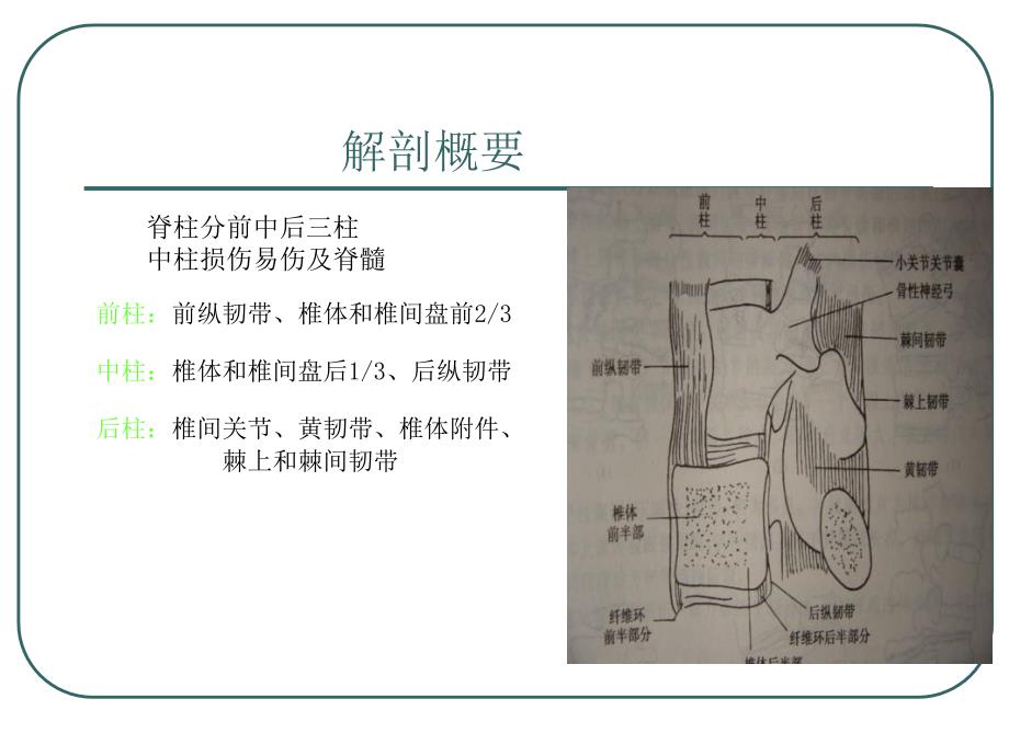 腰椎骨折概要_第3页